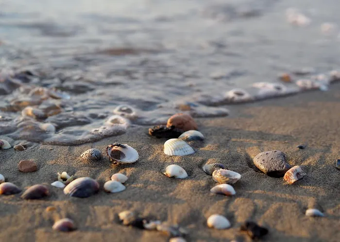 Duplex 100mt From The * Lo Stallone